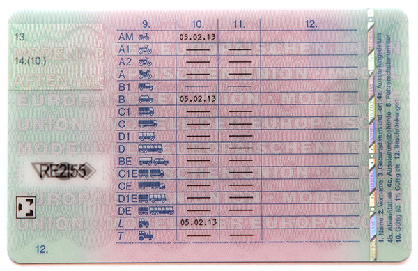 Deutscher EU-Führerschein, Rückseite